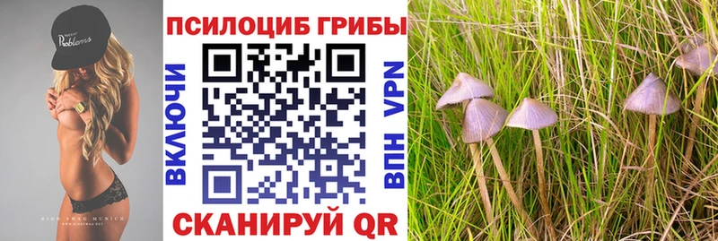 Галлюциногенные грибы мухоморы Хилок