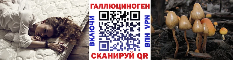 Псилоцибиновые грибы Cubensis  маркетплейс состав  Хилок 